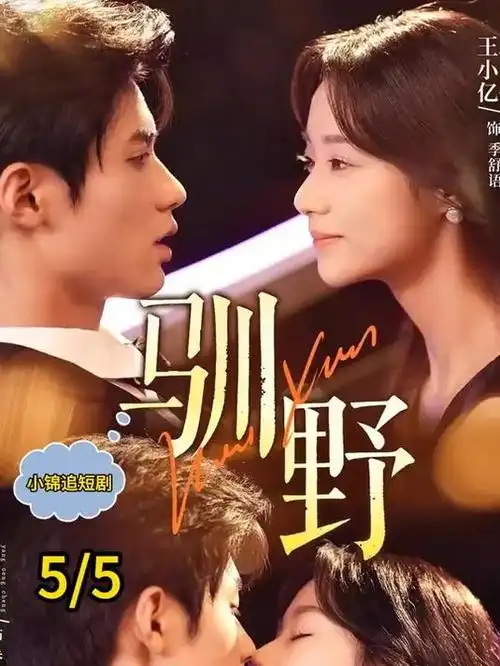 本周热播电视剧第六名